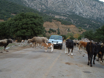 Σχετική εικόνα