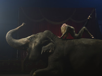 imagen de mujer y elefante en circo 
