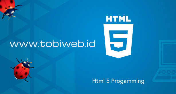 Beberapa Contoh Elemen Input Text Yang Terbaru Dari HTML5 