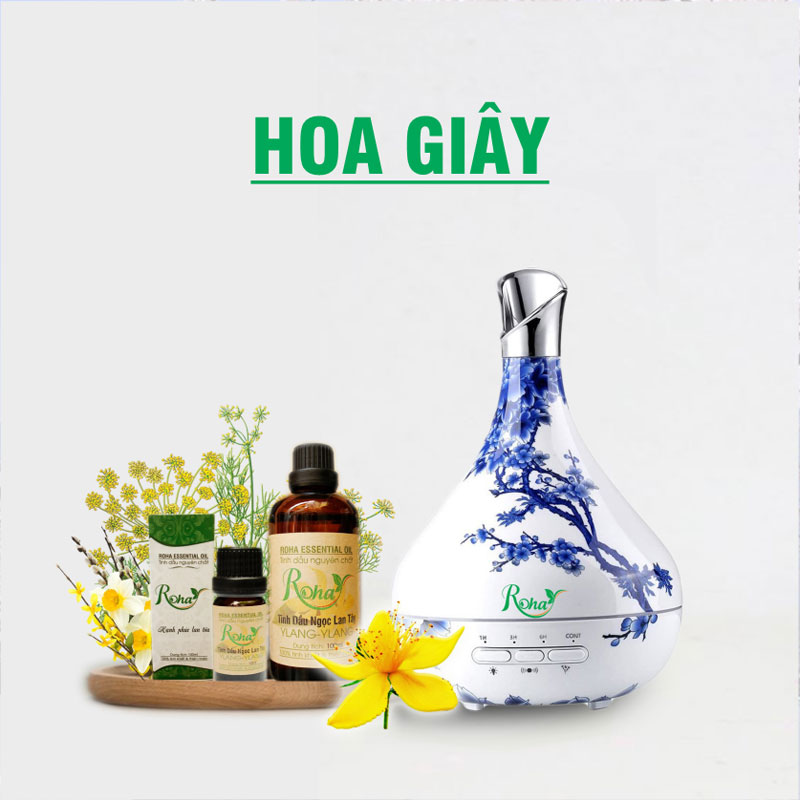 Máy Khuếch Tán Tinh Dầu Hoa Giây