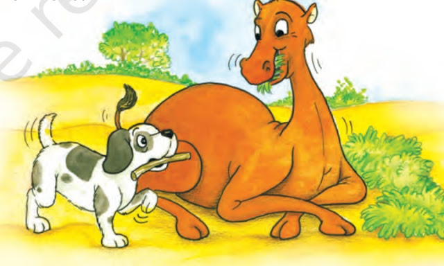 How the Camel got his hump class 8 NCERT Solutions Supplementary English Reader It So Happened