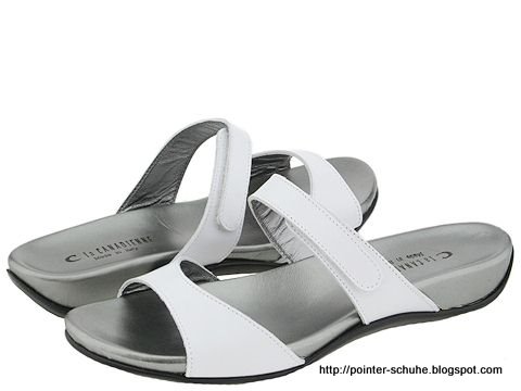 Pointer schuhe:schuhe-291570