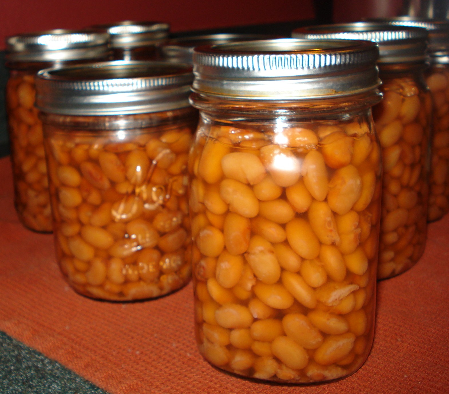 Canning pinto beans