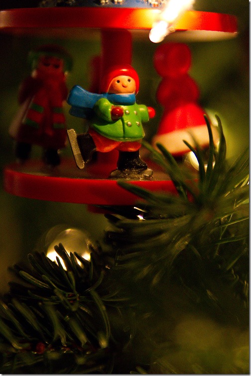 Dec-06-2010_7049