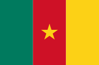 Kamerun - Piala Dunia 2010