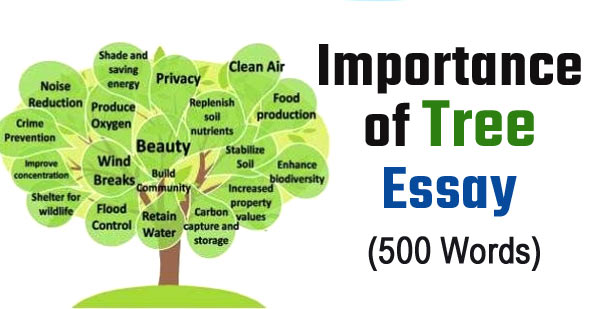 importance of trees essay