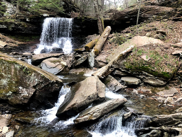 ricketts glen hike