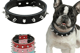 10 Best Choose Necklace For Dog Lovers