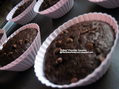 chocolate cupcakes