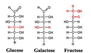 Glucose, galactose and fructose molecules