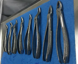 Diş forsepsi