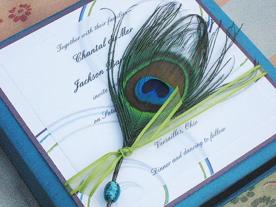 peacock silk box invitation