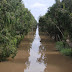 Tra Su Forest, Chau Doc, An Giang