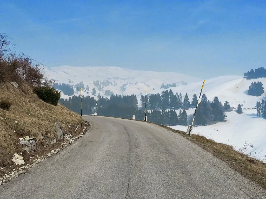 road bike rental shop in bassano del grappa