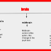 brain parts and functions