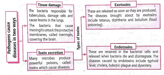 Disease | vector | Transmission