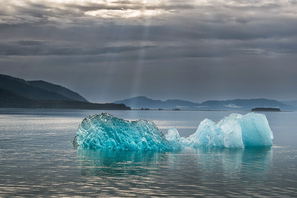 http://www.rudolf-hug.ch/content/fotogalerie/Travel/Alaska%202014%20Whale%20watching/index.html