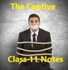 The Captive Question Answer Class 11 |Summary AHSEC