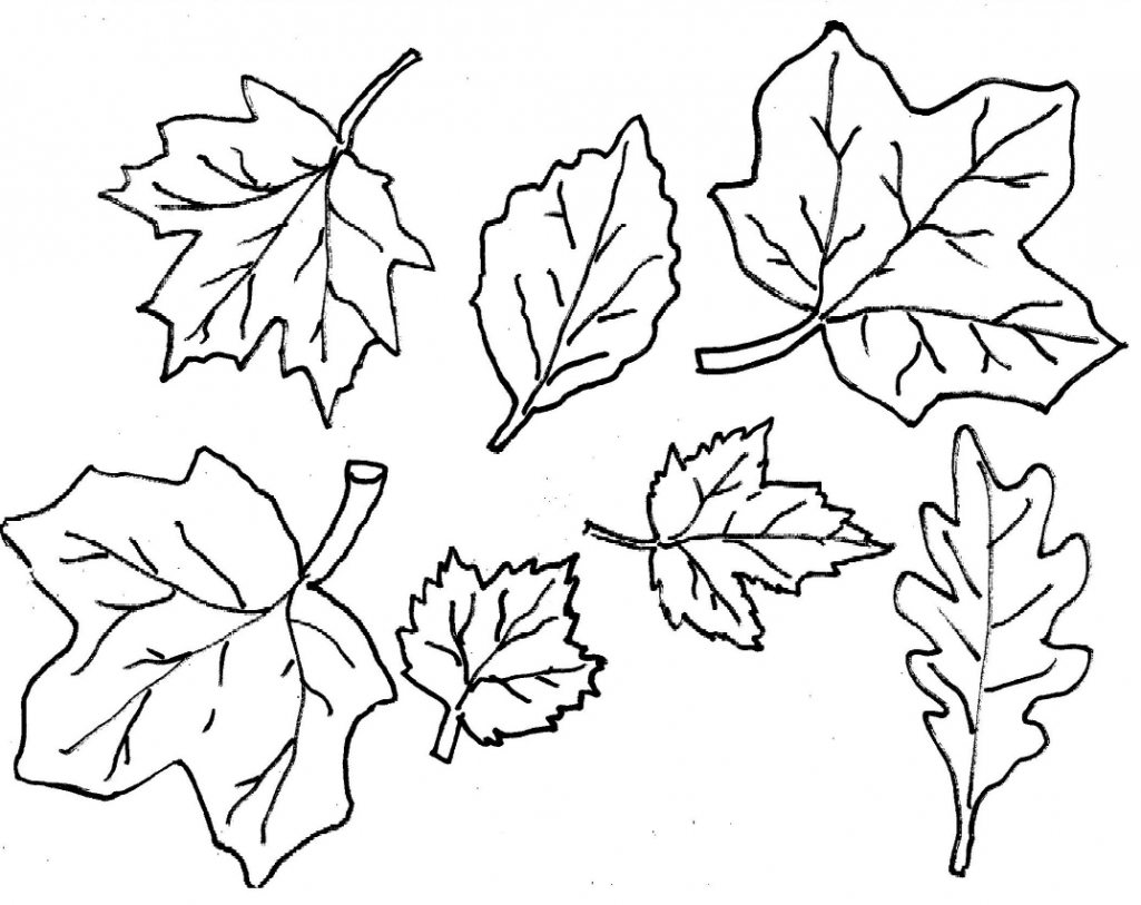 childrens coloring pages fall leaves