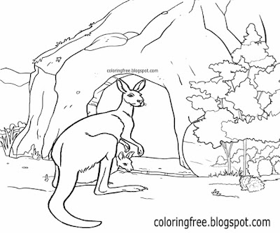 Cute native mammals of Australia kangaroo printable Australian coloring for kids clipart to color in