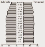 Komposisi Penduduk Indonesia