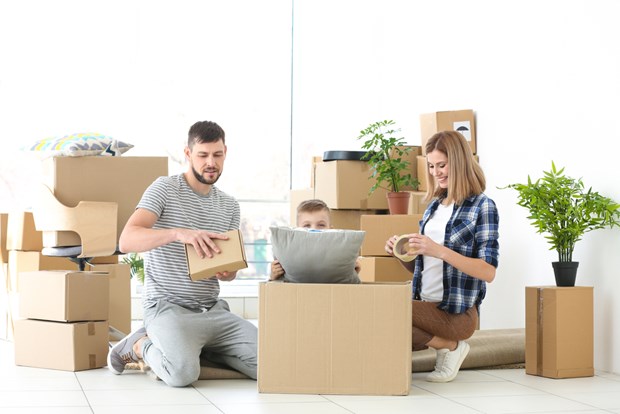 Tips To Relocate plants Safely when House Shifting