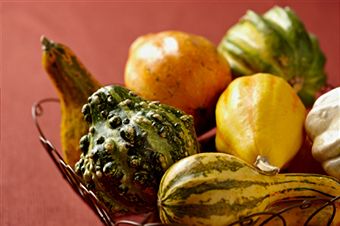 Different Kinds Of Squash