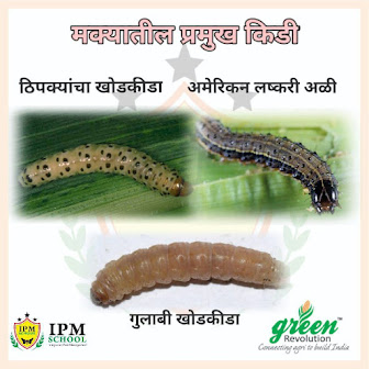 इमेज