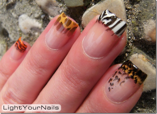 safari mani