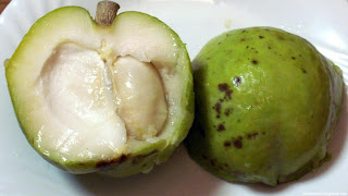 white sapote fruit images wallpaper