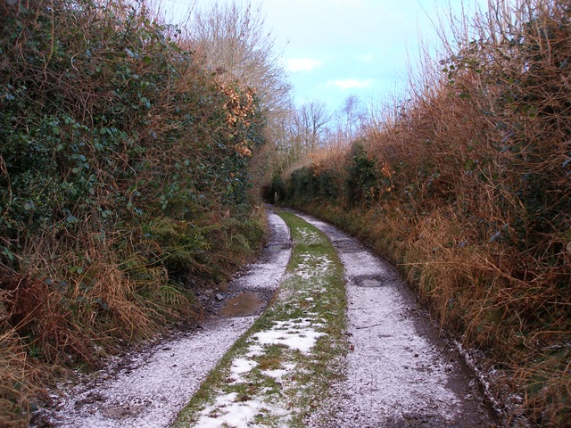 7th_february_09