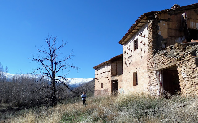 Jérez del Marquesado, Cortijo Berralero