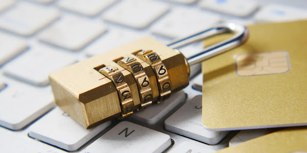 Business Credibility: The True Cost of a Data Breach