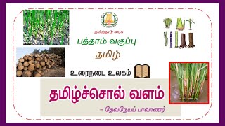 10 ஆம் வகுப்பு - தமிழ் -  இயல்  1 - உரைநடை உலகம் - தமிழ்ச்சொல் வளம் - தேவநேயப் பாவாணர்  - வினா விடைகள் 