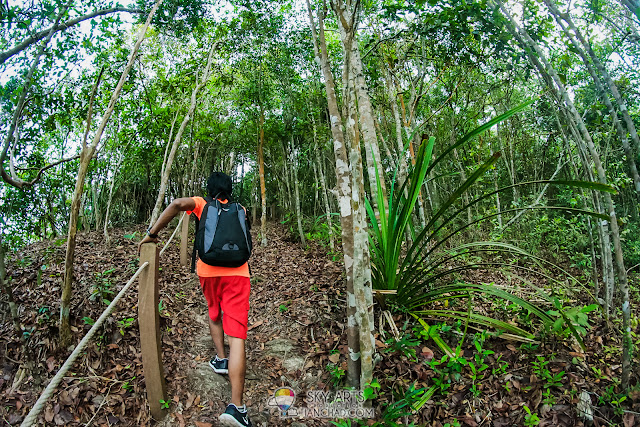 Jungle Walk across the mountain to Zen Space