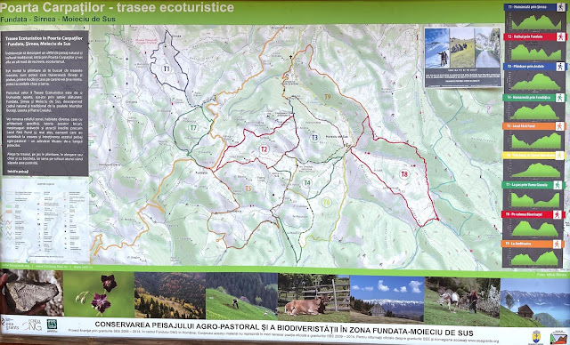 Amfiteatrul Transilvania, traseul ecoturistic T9 - Moieciu de Sus