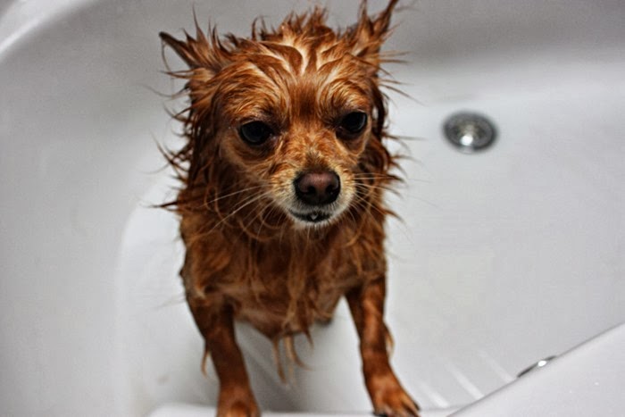 artiebathes2
