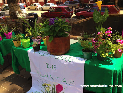 Plant Exchange in Patzcuaro