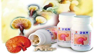 علاج جرثومة المعدة مع dxn