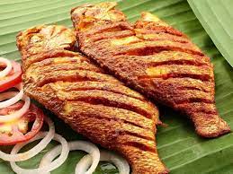 Is use of fish good for health?