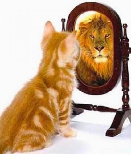 Can Matial Arts Build Self Esteem In Your Child