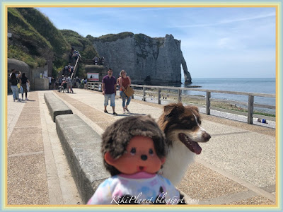 kiki monchhichi etretat le havre falaise galets normandie plage