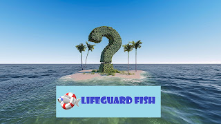 About Lifeguard Fish