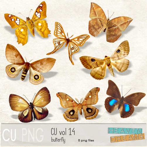 HD_cu_vol_14