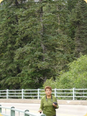 Mt. Rainier National Park 010