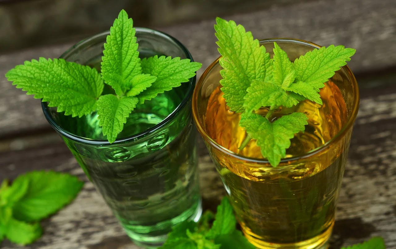 Lemon balm tea as an excellent sedative