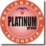 logo-platinum