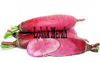 manfaat lobak