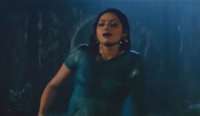 Sridevi in hot n wet sari