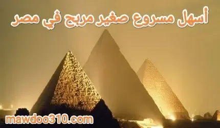 أسهل مشروع صغير مربح في مصر